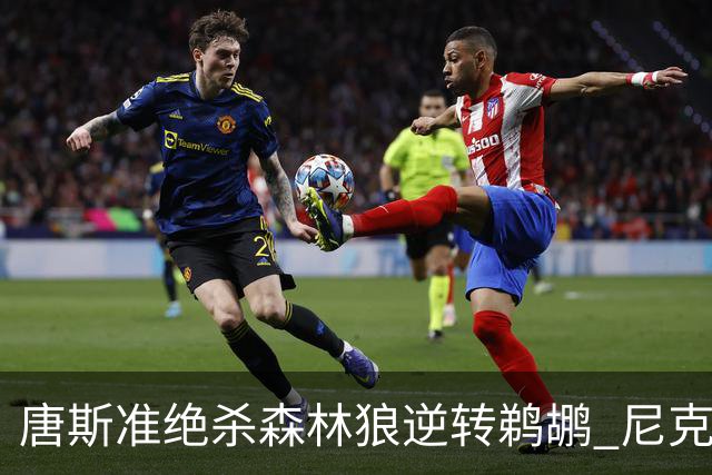 唐斯准绝杀森林狼逆转鹈鹕 尼克斯送黄蜂4连败